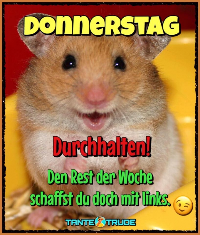 ah16952