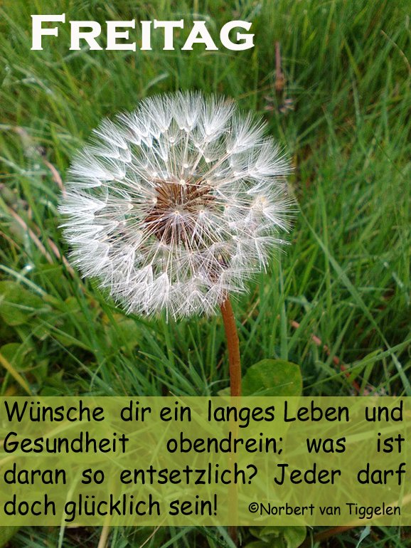 045574