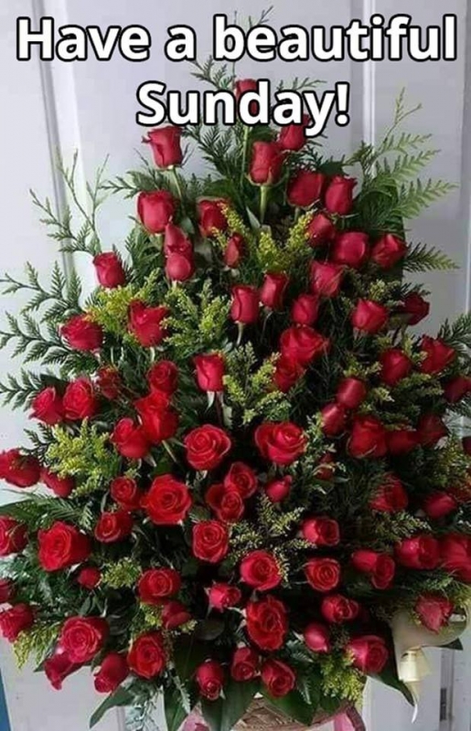 023253