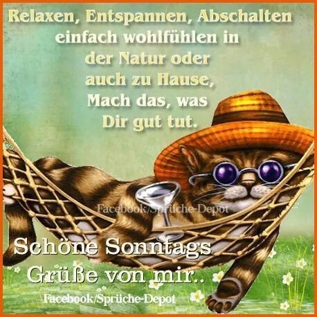 Download Sprueche depot Desktop Wallpaper Free Sprueche Depot