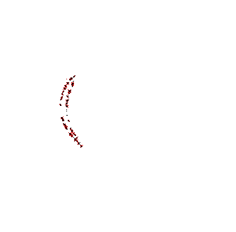004558