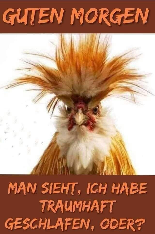028451
