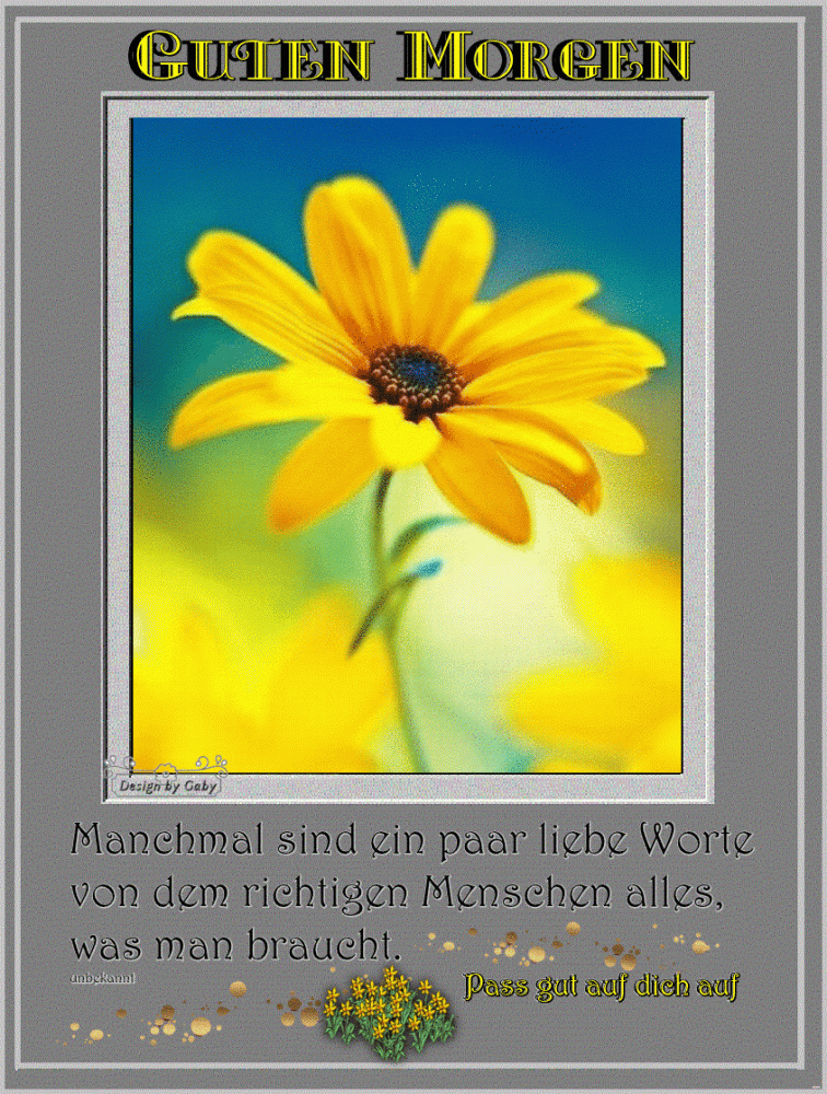 040351
