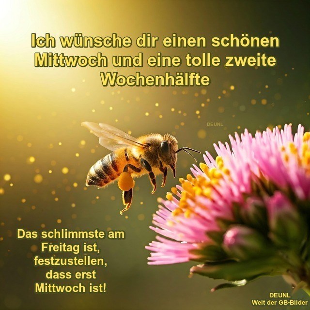 ML000925