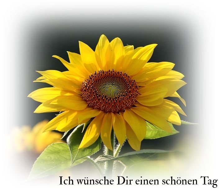 ah39873