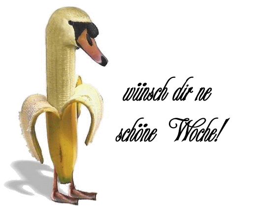 009239