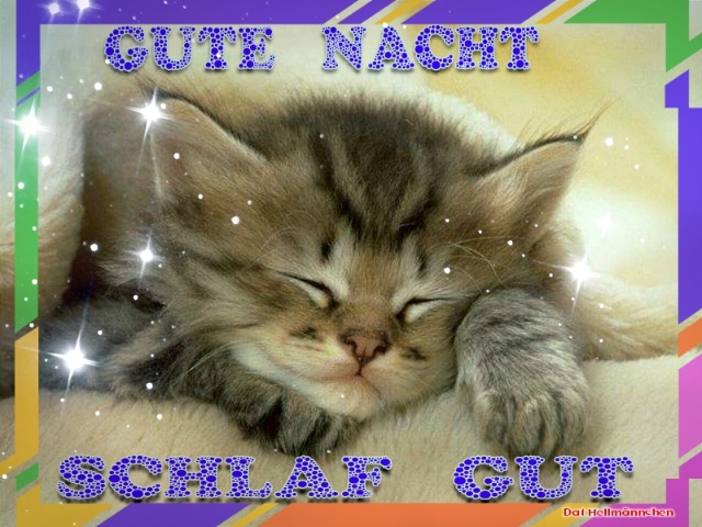 Gute Nacht