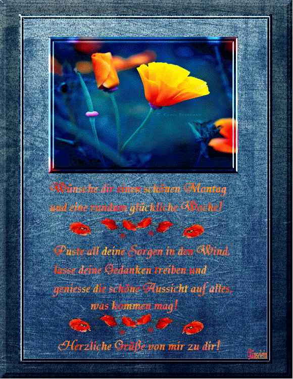 028068
