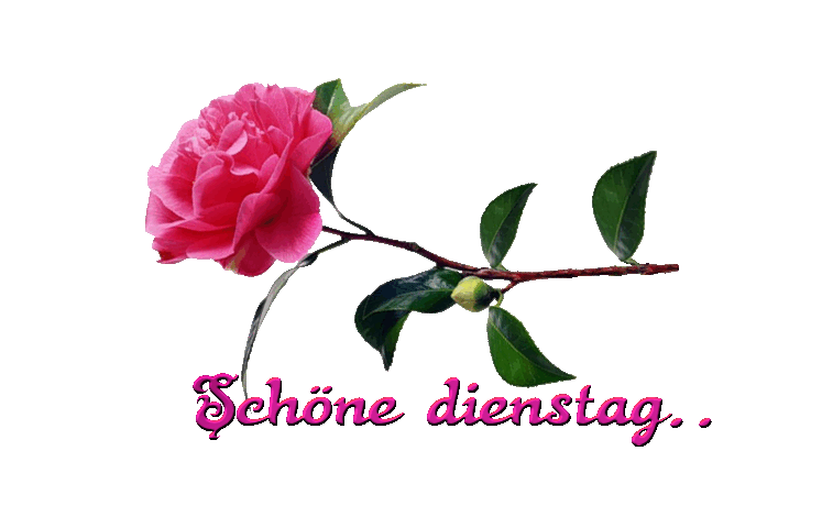 ah39518