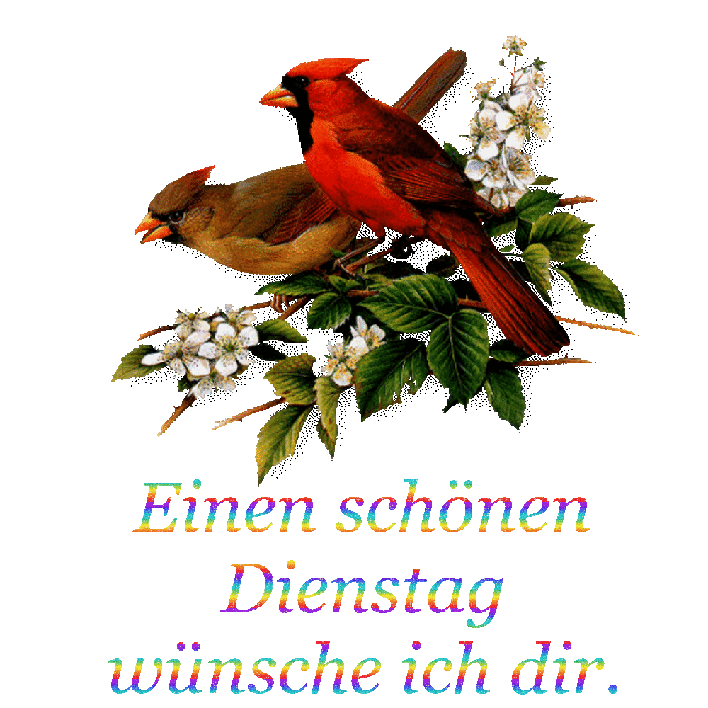 ah56647