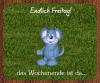 prev_img