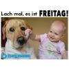 prev_img