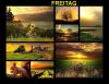 prev_img
