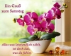 next_img