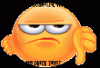 prev_img