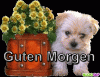 prev_img