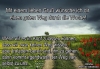 PS001485 PS001485