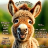 ML000755 ML000755