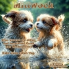 ML000742