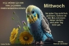 ML000703 ML000703
