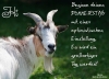 PS002039