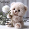 ML000765