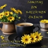 PS002106 PS002106