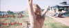 prev_img