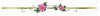 MK000994 MK000994