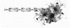 MK001447 MK001447