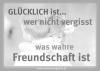 prev_img