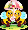 next_img