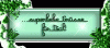 prev_img