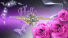 next_img