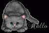 prev_img