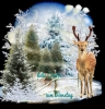 next_img