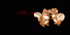 prev_img
